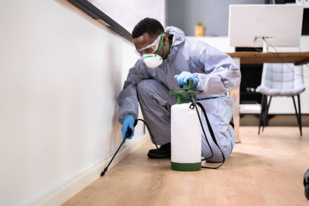 Best Residential Pest Control  in Avenel, NJ